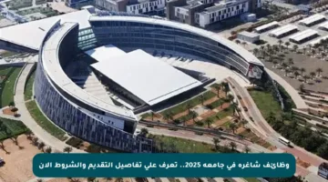 وظائف شاغرة في جامعة 2025.. تعرف على تفاصيل التقديم والشروط الآن